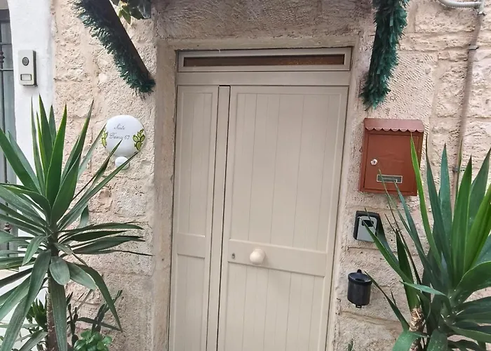 Tama67 公寓 奥斯图尼